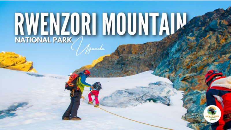 Rwenzori National Park