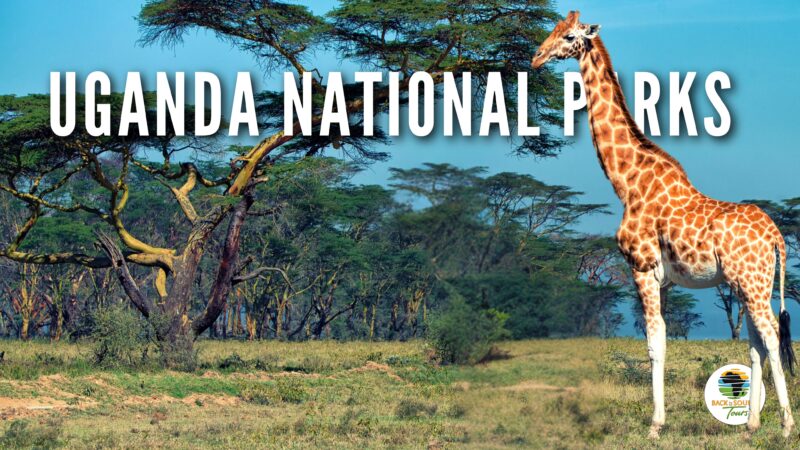 National Parks of Uganda