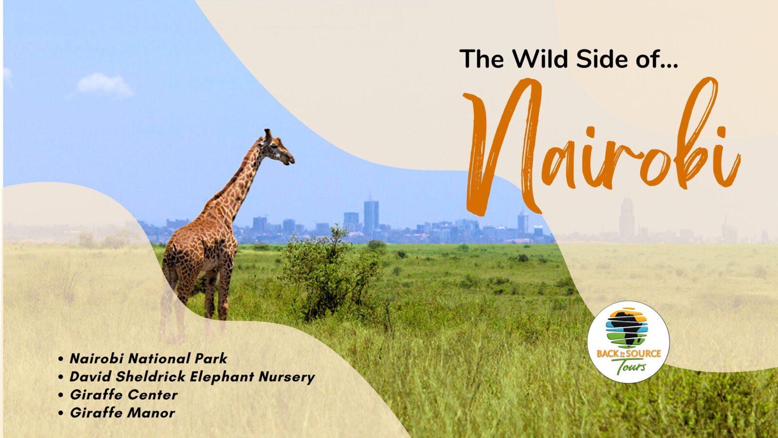 Wildlife at Your Doorstep in Nairobi, Kenya