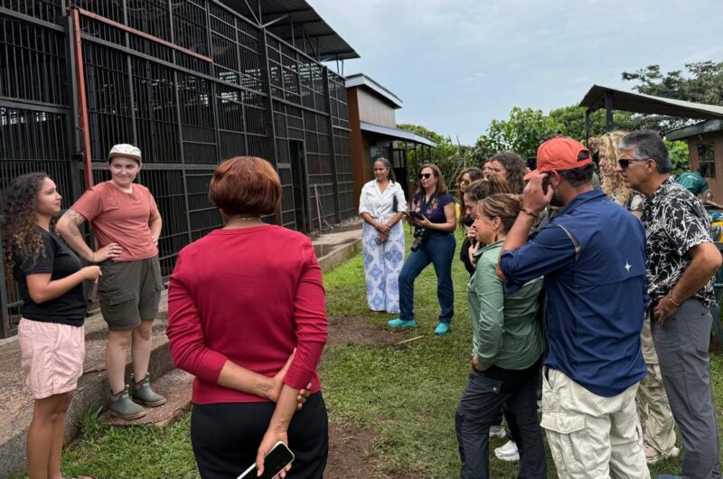 East Africa Safari Photo Gallery