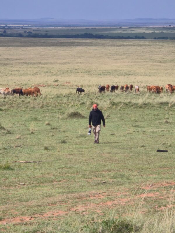 East Africa Safari Photo Gallery