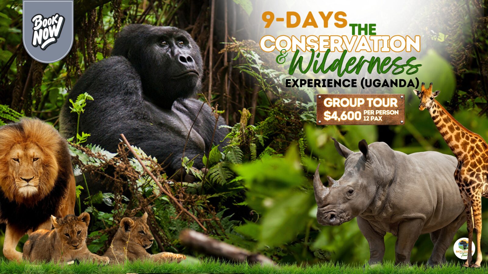 Uganda safari primate trekking 9 days tour