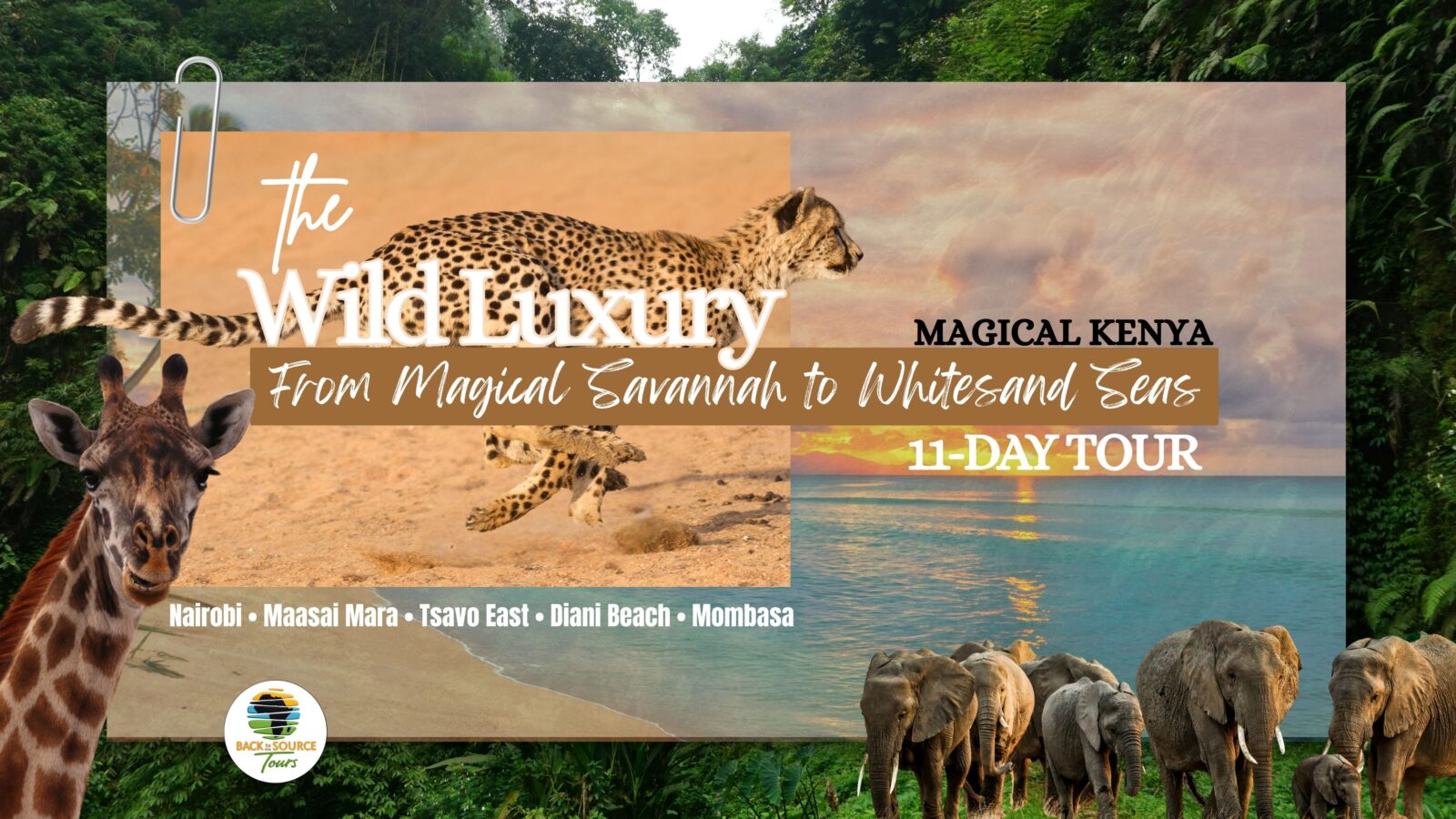 11-day Kenya safari Maasai Mara Tsavo East Diani Beach Back to the Source Tours