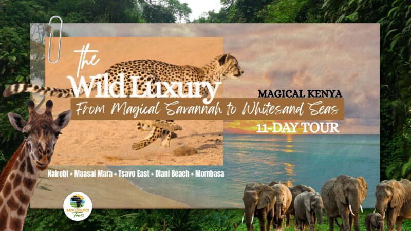 11-day Kenya safari Maasai Mara Tsavo East Diani Beach Back to the Source Tours
