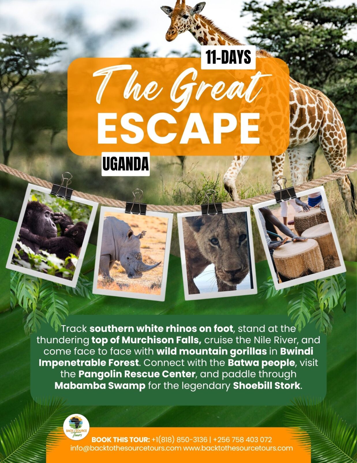 11-Day The Great Uganda Escape Gorilla, Rhinos, MFNP