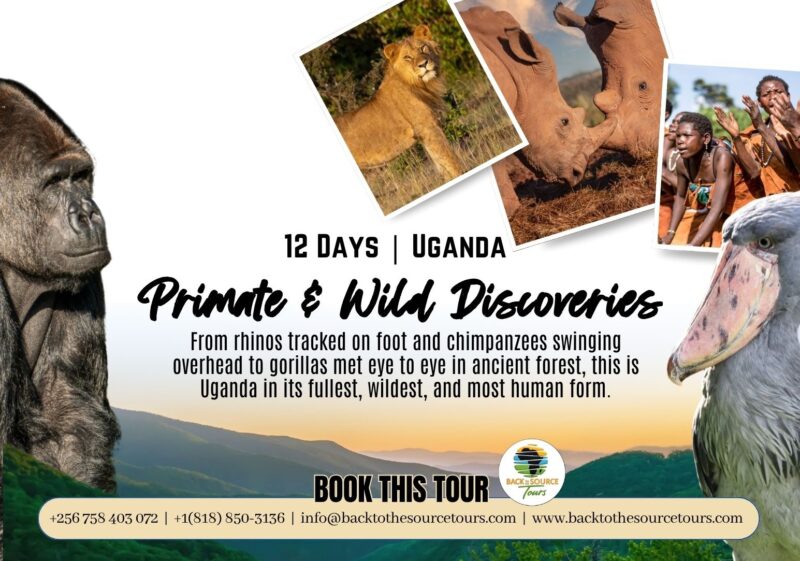 12 Days Primate & Wild Discoveries - Uganda