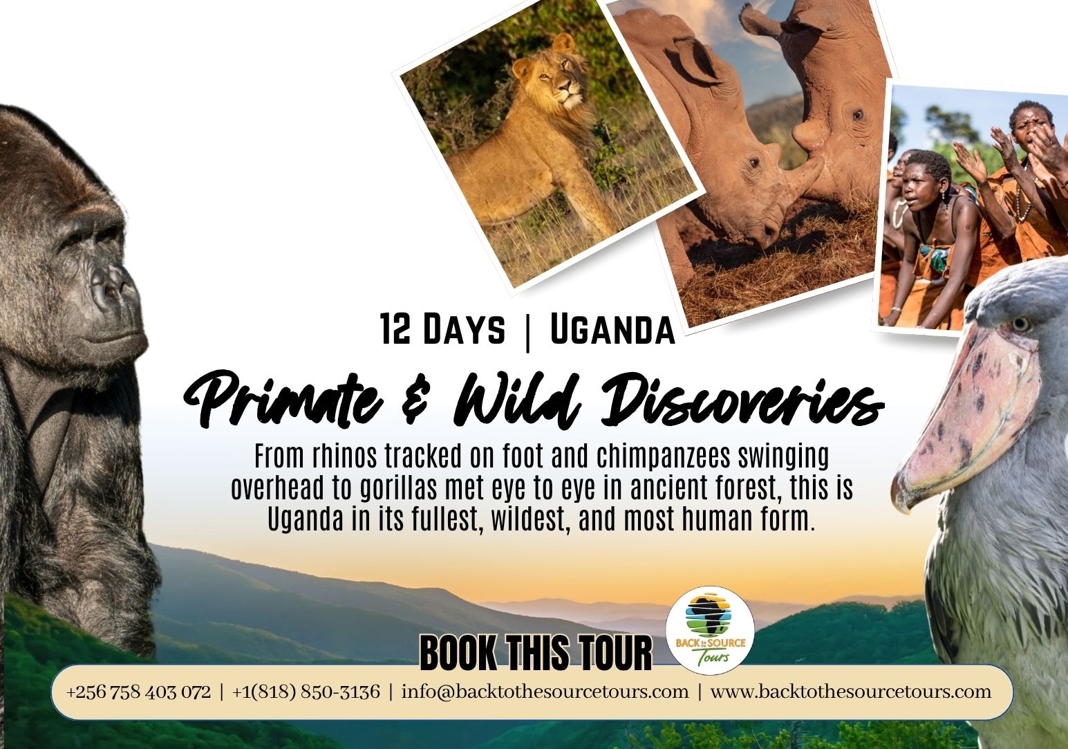 12 Days Primate & Wild Discoveries - Uganda