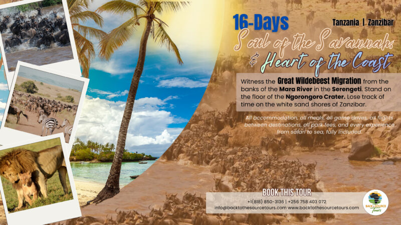 16-Days Soul of the Savannah, Heart of the Coast | Tanzania