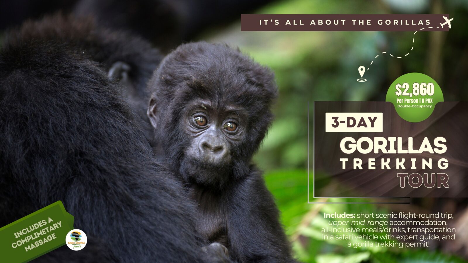 3-day gorilla trekking Uganda Bwindi Impenetrable Forest fly-in safari tour