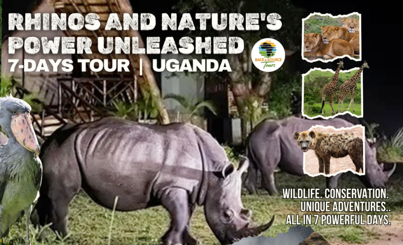 7-day Uganda safari Ziwa Rhino Murchison Falls tour Back to the Source Tours