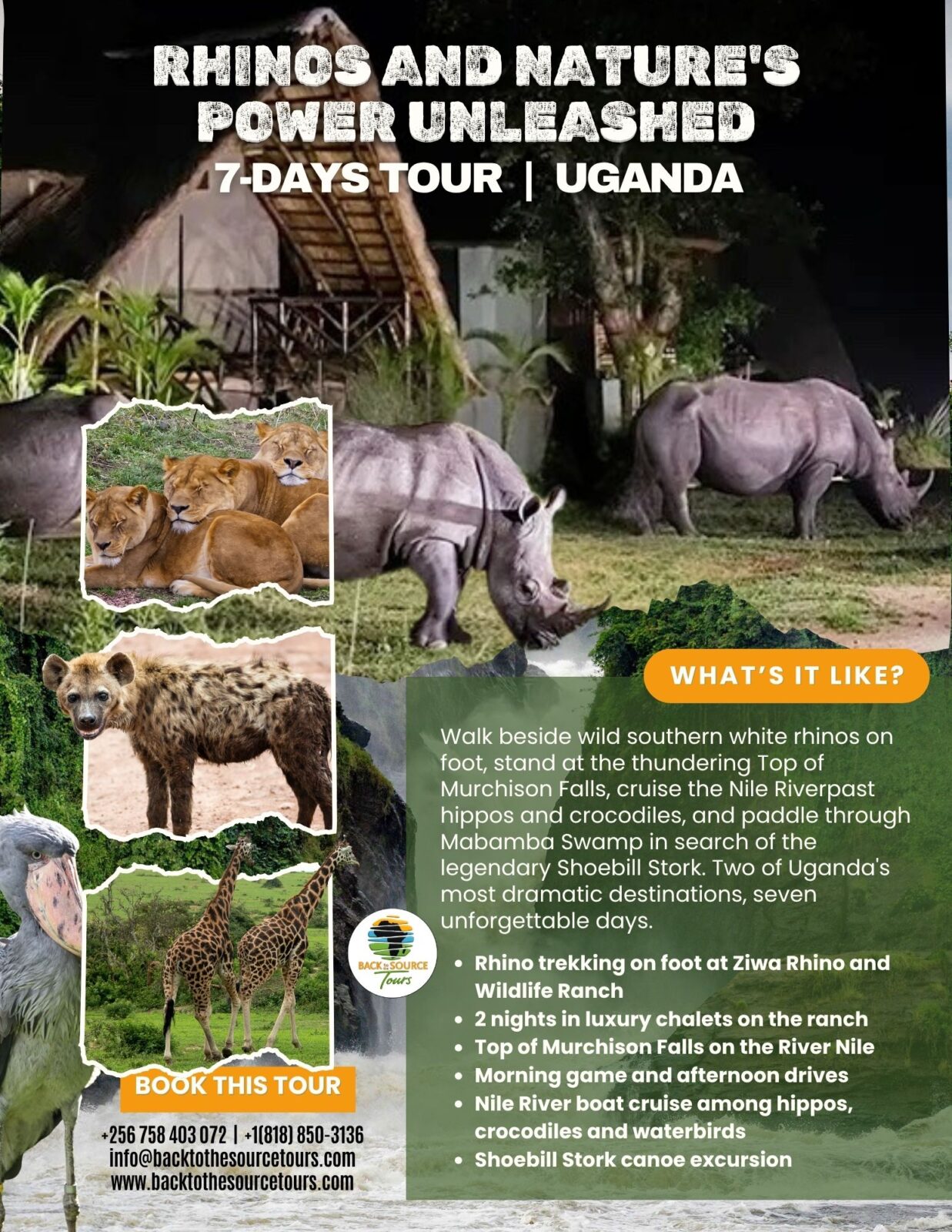 7-day Uganda safari Ziwa Rhino Murchison Falls Nile River tour flyer 2026