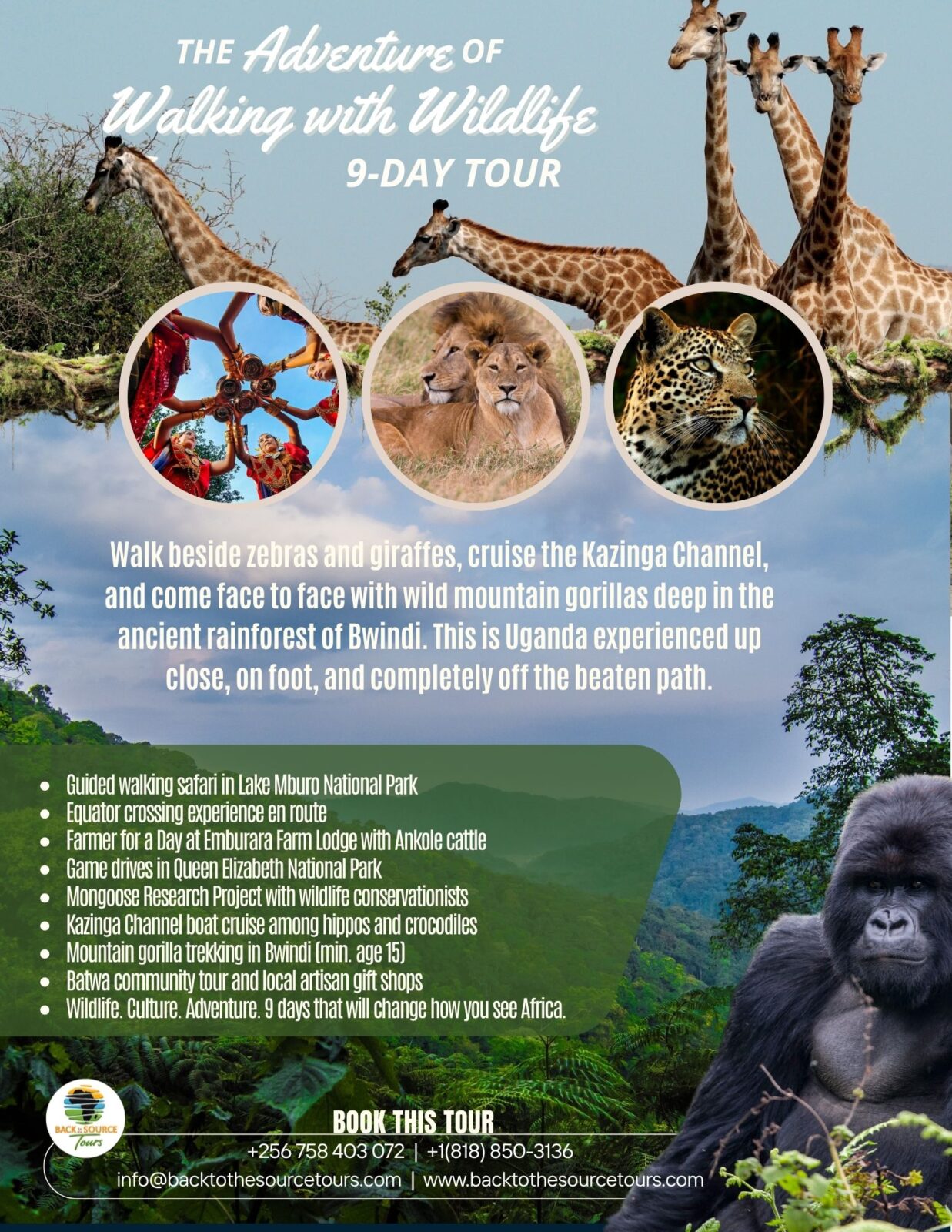 9-day walking safari Uganda wildlife culture tour flyer 2026 Back to the Source Tours