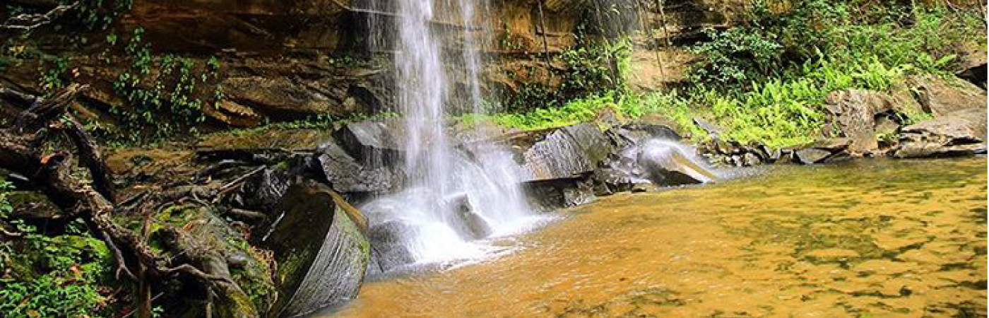 Diani Beach Kenya: The Complete Travel Guide to the Best Beach on the Coast