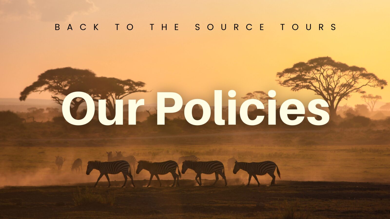 Back to the Source Tours Policies