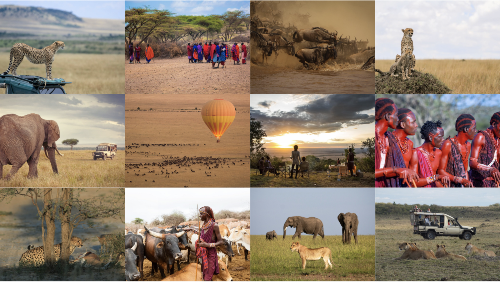 Maasai Mara Conservancy Tour