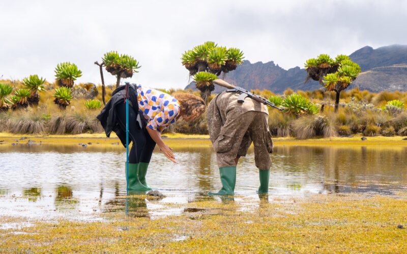 Mount Elgon National Park Uganda, Hiking, Sipi Falls, and Culture Guide