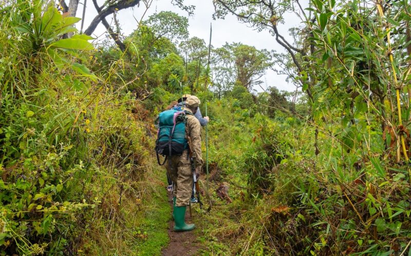 Mount Elgon National Park Uganda, Hiking, Sipi Falls, and Culture Guide