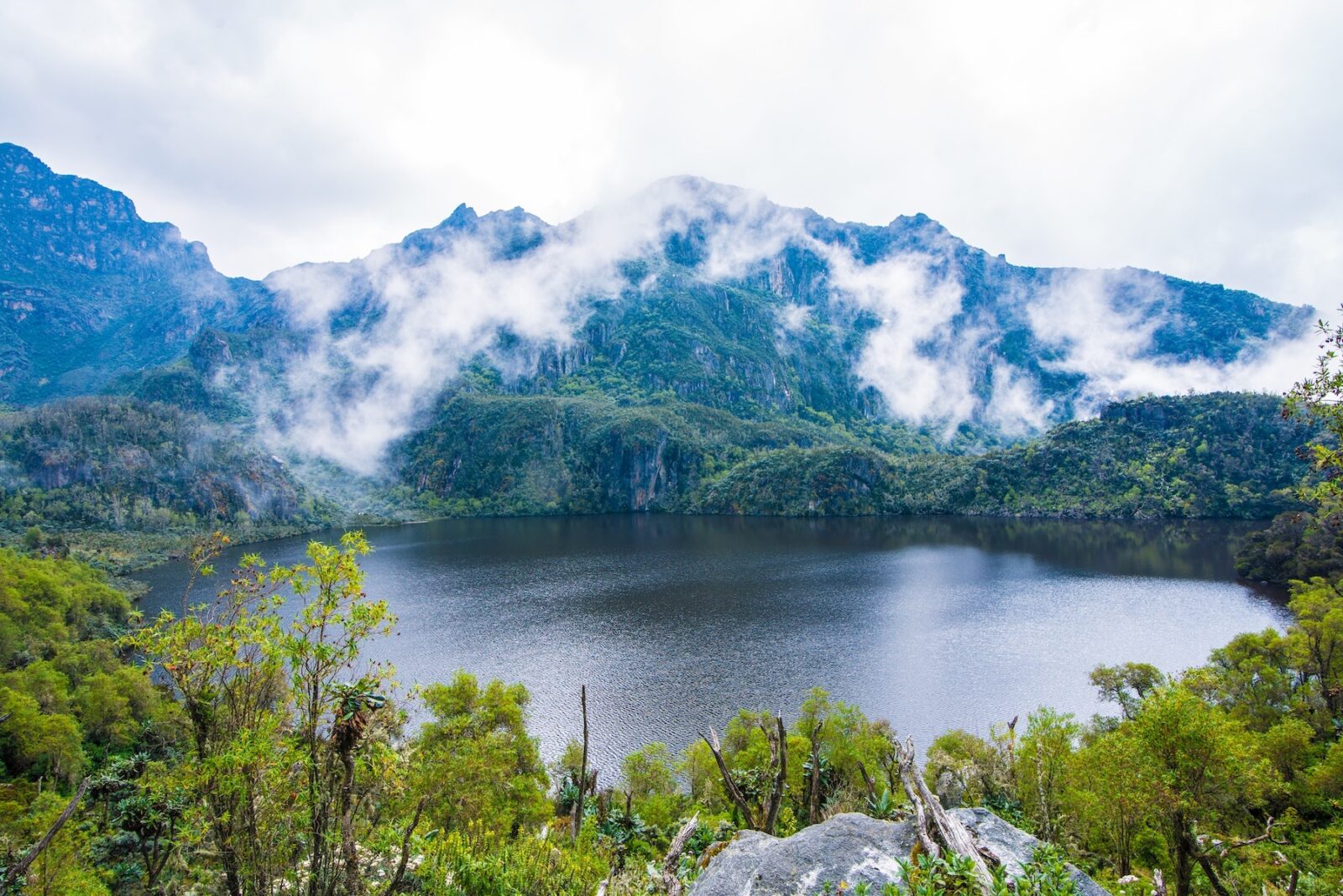 Rwenzori National Park Uganda: Hiking the Mountains of the Moon