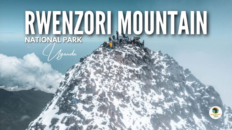 Rwenzori National Park Uganda: Hiking the Mountains of the Moon